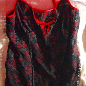 Sexy red and black lingerie...used only for the purposes of making the video